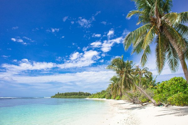 What Are the Hidden Challenges of Organizing a UK Cruise Tour?